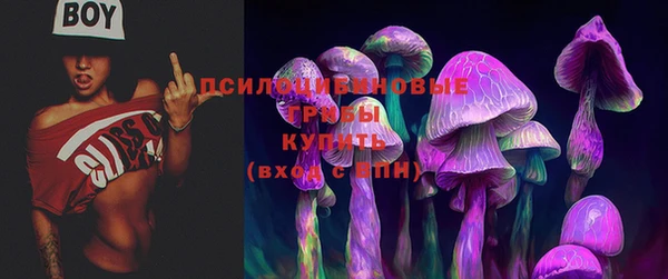 дживик Алзамай